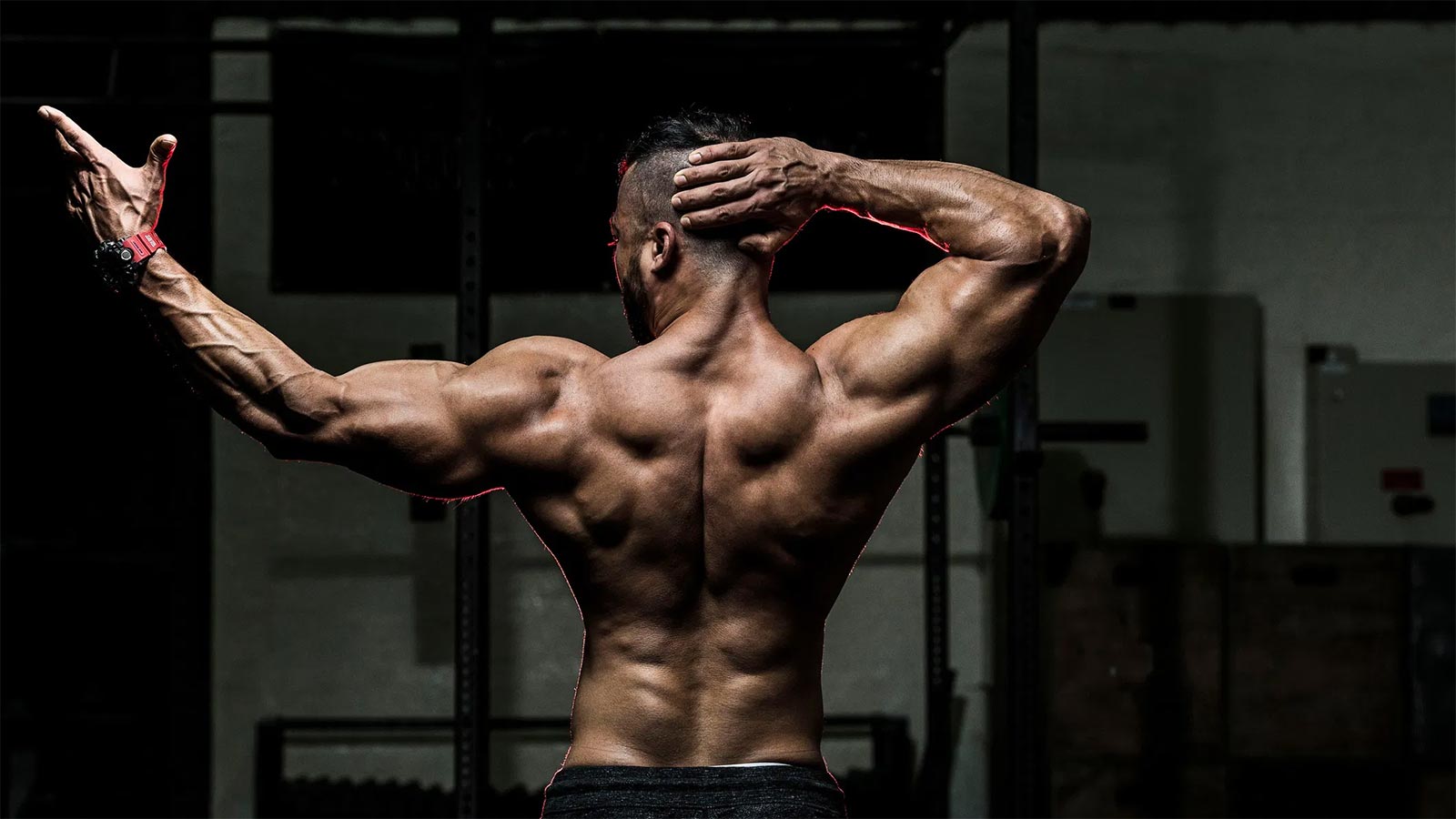 Top 5 back exercises for an amazing back workout